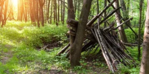 Understanding Wildlife Behavior for Safety